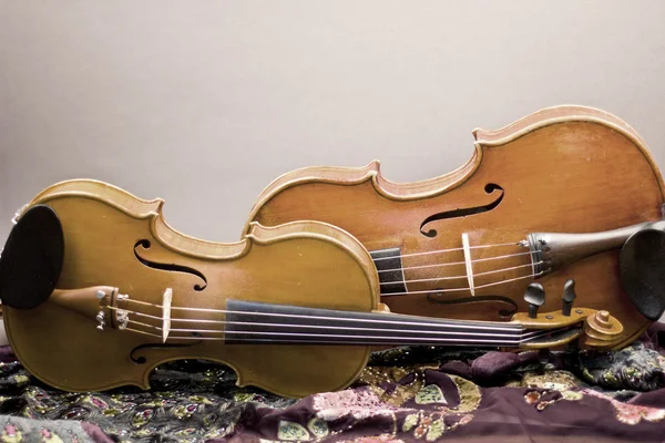 Beautiful violin lying on the floor