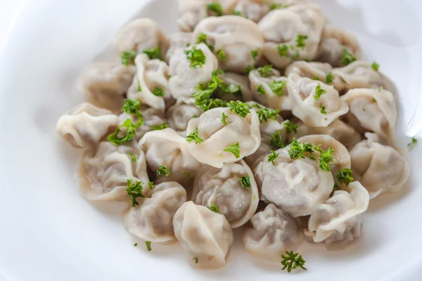 Pelmeni with greens on a white background in a white plate
