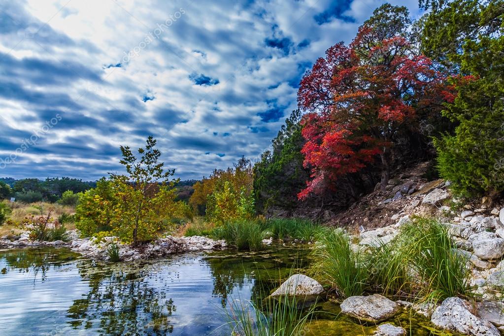 Bright Red Fall Foliage at Stream in Lost Maples State Park in Texas