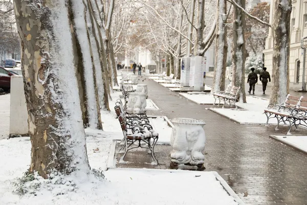 Winter sidewalk in Sevastopol, Crimea, Ukraine.