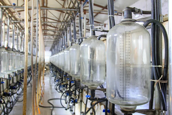 Glass milk storage tank in a milking workshop