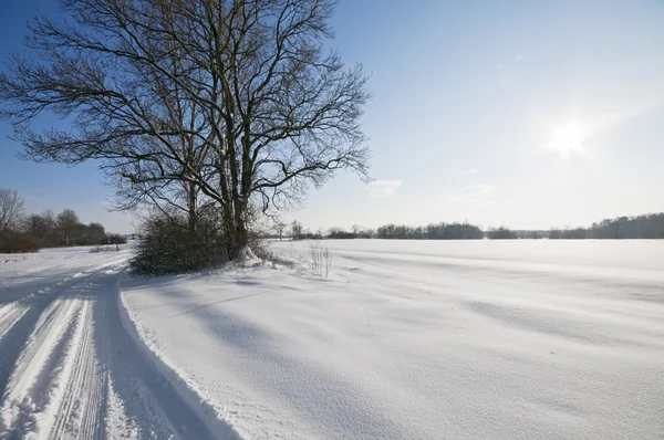 Wintry landscape with sun