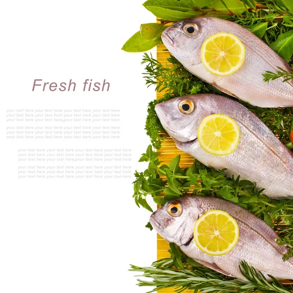 Fresh sea fish and surrounded by fresh herbs and vegetables lies on the yellow mat isolated on white background