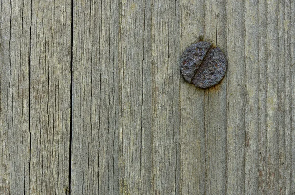 Wood with nail-head background