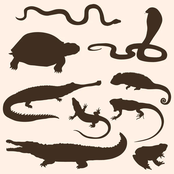Vector set of reptiles and amphibians silhouettes