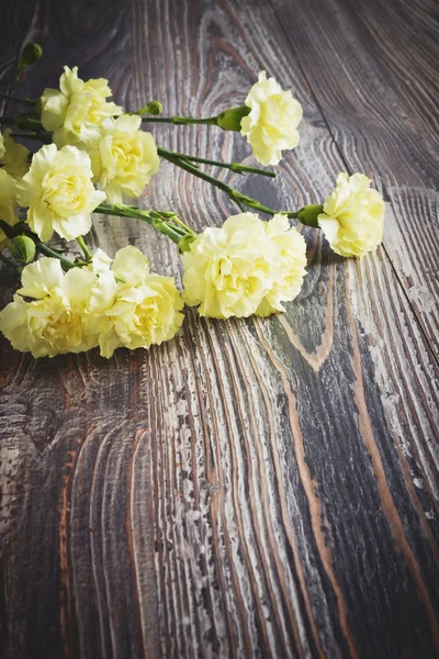 Yellow carnations