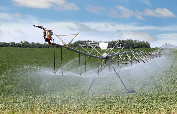 Irrigating Farm Field