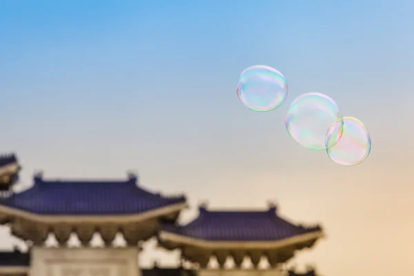 Funny Soap Bubbles at the Taiwan Sky