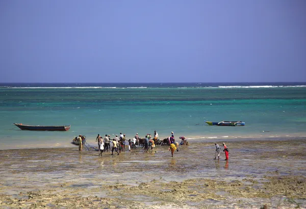 Locals buying fish on the beach
