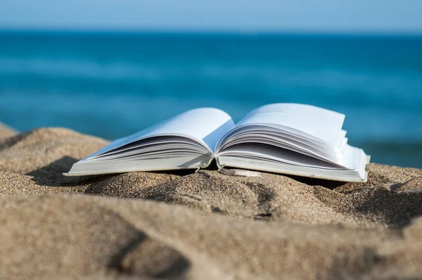 Book at beach during summer near the sea