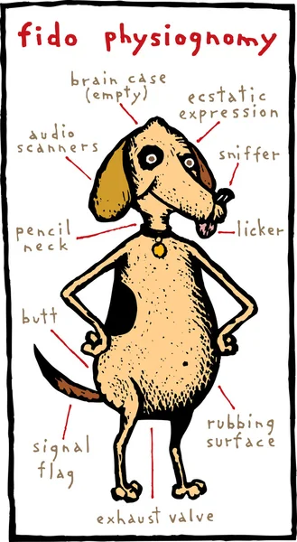 Woodcut Illustration of Fido Canine Physiognomy