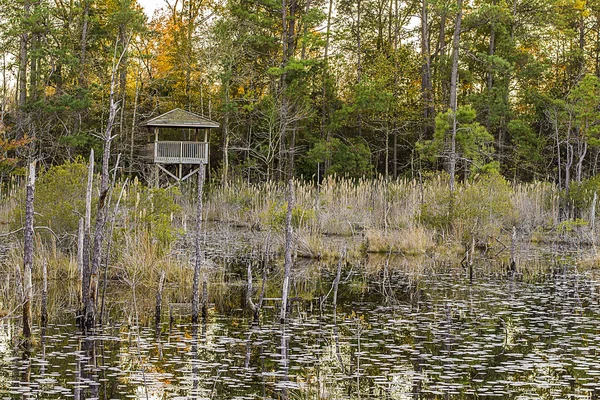 Lake and Forest Hunting Blind.