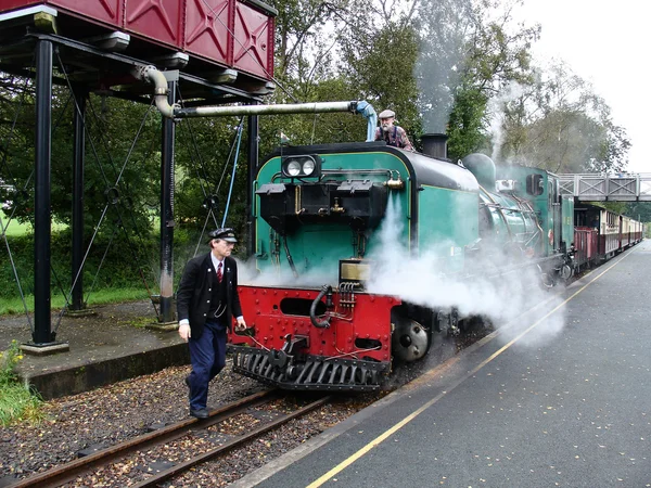 Steam narrow gauge train.