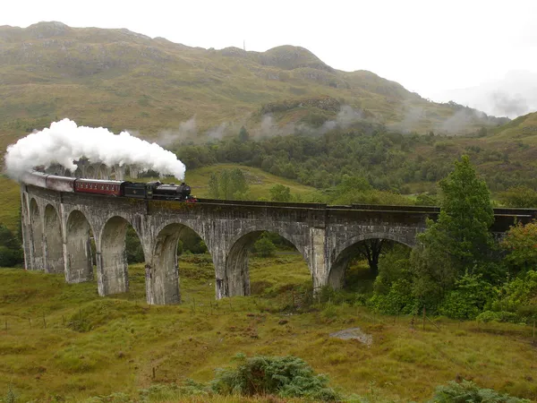 Steam train on Glenfinnan viaduct.
