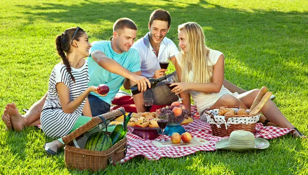 Friends enjoying a healthy picnic