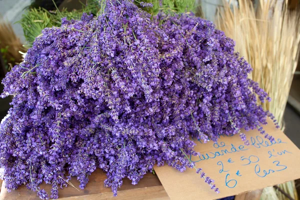 Bunches of lavender flowers