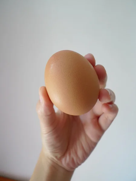 A women hand holds an brown egg