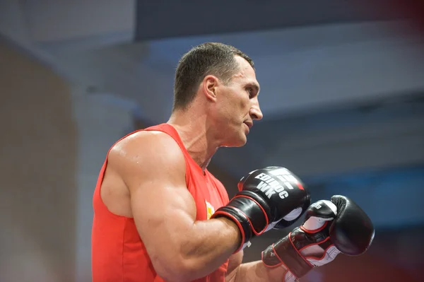 Boxer Vitali Klitschko open training session before the fight with Povetkin, Moscow