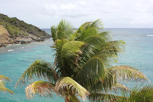 Nature Preserve Viewed from Lighthouse Resort at Dawn Beach in St. Maarten
