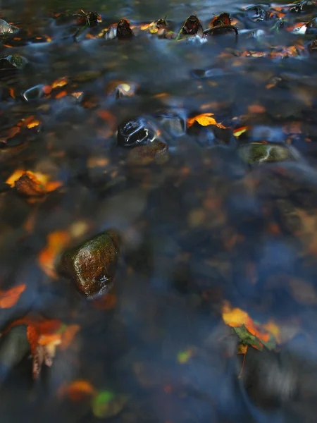 Basalt stones in clear water of mountain river, colorful leaves from aspen and maples. Blurred waves, reflections in water level.