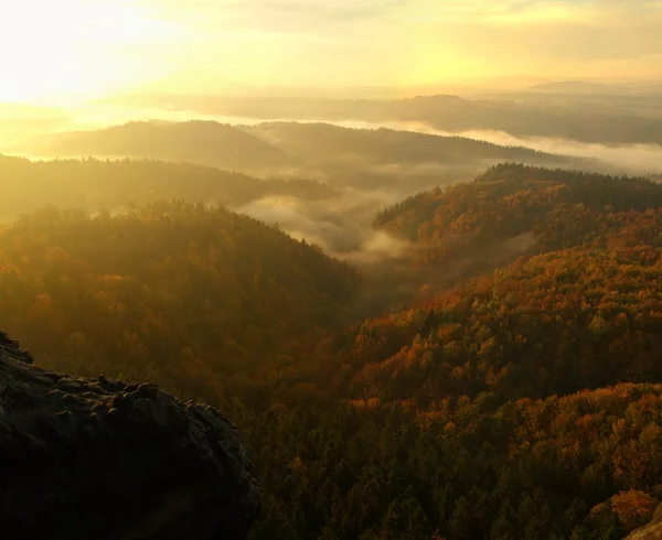 Sunrise in a beautiful mountain of Bohemian-Saxony Switzerland. Sandstone peaks and hills increased from foggy background, the fog is orange due to sun rays.