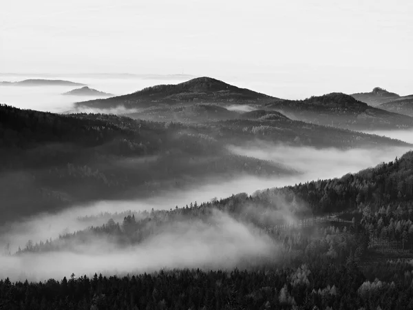 Peaks of hills and trees are sticking out from yellow and orange waves of mist. First sun rays. Black and White photo