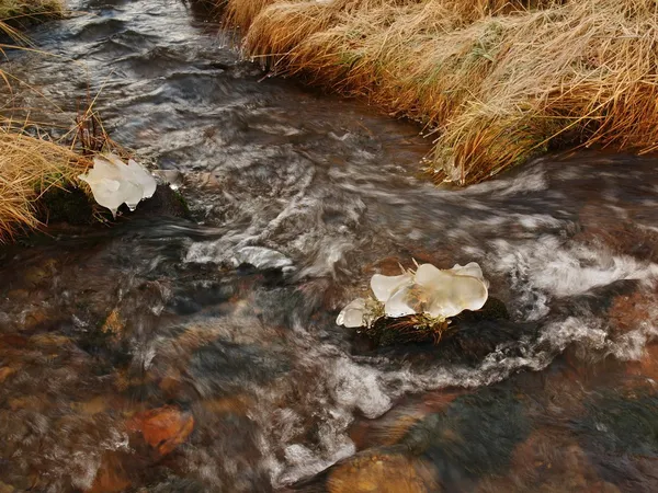 Mountain stream at beginning of winter time, old orange dry grass on both banks, ice on boulders and stone in the water.