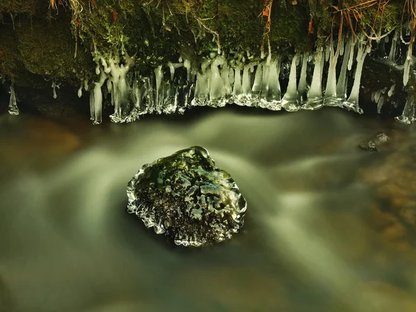 Dark green cold water of mountain stream in winter time, small icicles are hanging above milky water level.