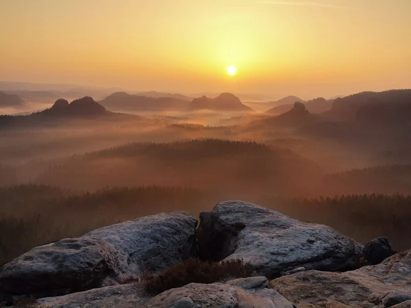 Gold misty daybreak in a beautiful valley of Saxony Switzerland park. Sandstone peaks increased from fog, the fog is colored to blue, gold and orange.