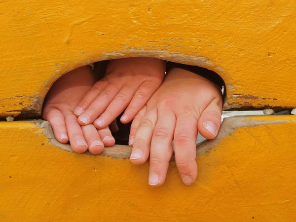 Tree children hands with small fingers through hole in orange wooden climbing wall ladder on kids playground