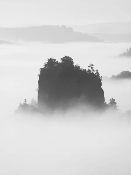 Autumn landscape covered by heavy fog. View into deep misty valley in German national park, Europe. Black and white picture.