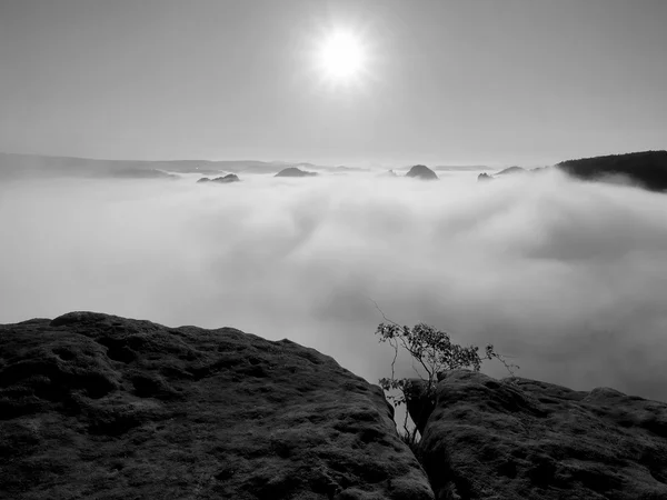 Dense fog in deep rocky valley full of heavy clouds. Sandstone peaks increased from foggy background, the Sun above. Black and white picture.