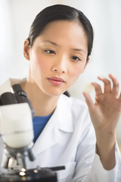Female Scientist Analyzing Sample In Laboratory — Stock Photo #29624343