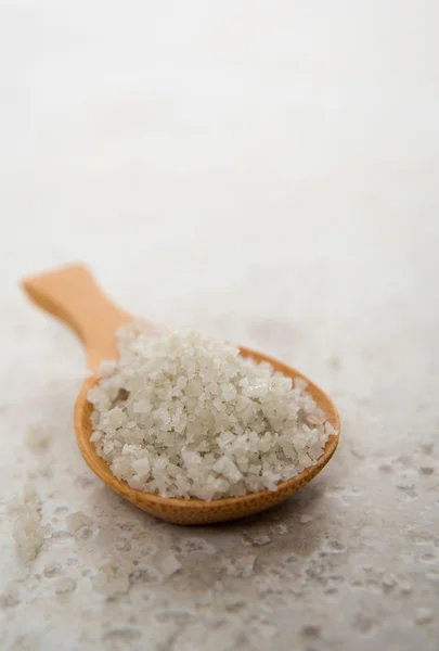 Gray Celtic Sea Salt in Small Bowl