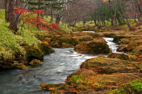 Mystical landscape of River flows