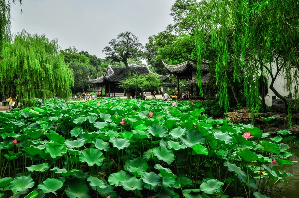 Shanghai chinese garden