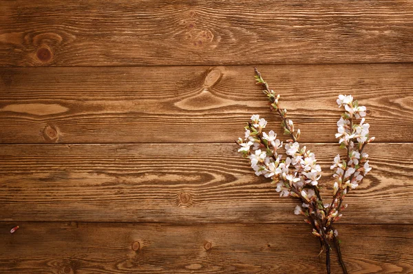 Summer Flowers on wood texture background with copyspace