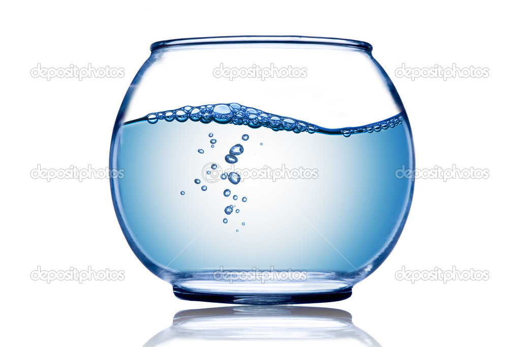 Fish bowl. — Stock Photo © somchaij 31435027