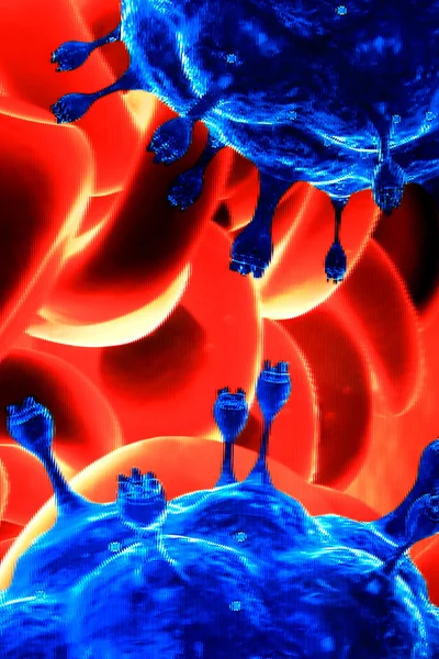 Close-up of red blood cells
