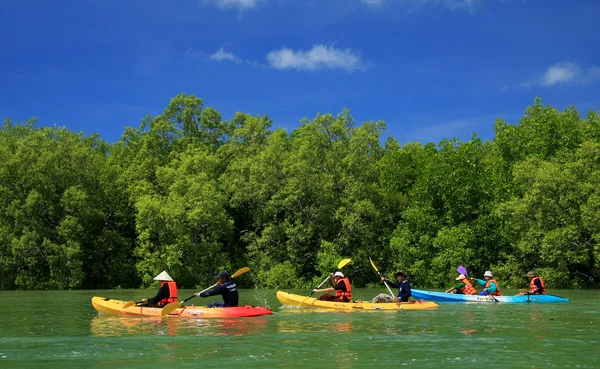 Kayaking in the thai - kayaking at krabi thailand - kayaking