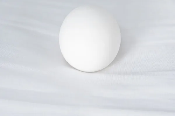 The Egg