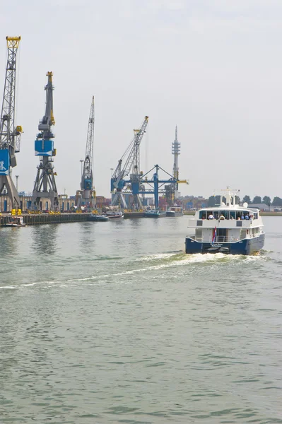 Cranes At Rotterdam Port