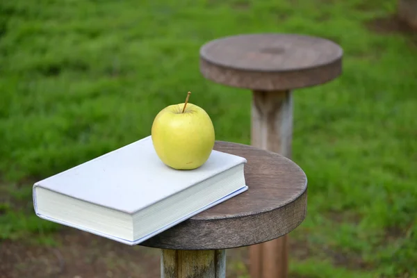 Apple and book on wood