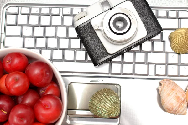 Laptop, plums and shells on wood
