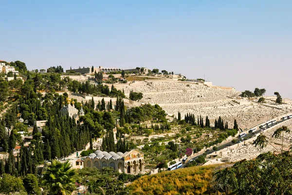 Gethsemane, and the Church of all Nations on the Mount of olives in Jerusalem