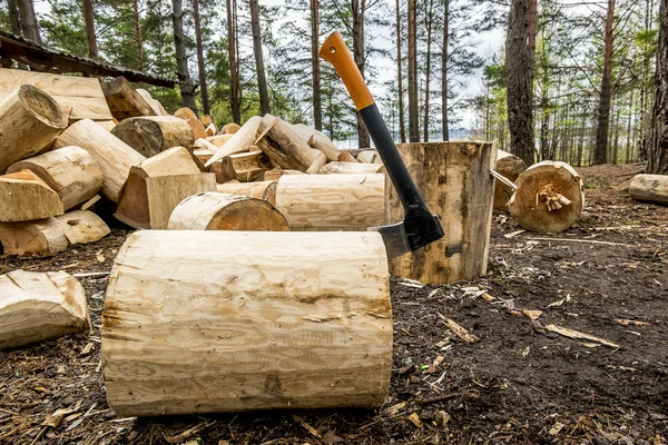 Axe in polene amid piles of logs in the forest