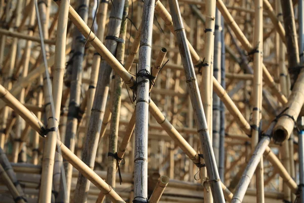 Thousands of bamboo which is the Scaffolding project in office building construction site in hong kong downtown