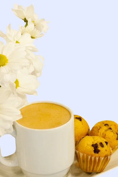 Spring Morning Coffee with Muffins and Daisies