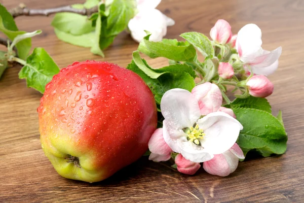 Apple flowers and ripe red apples on a wooden background