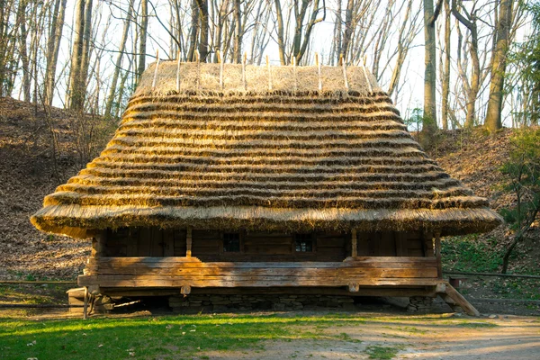 The old village house in the woods
